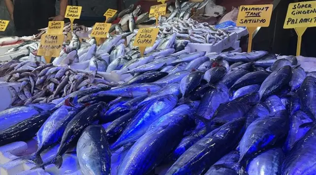 4,5 aylık hasret “Vira Bismillah” denilerek son buldu